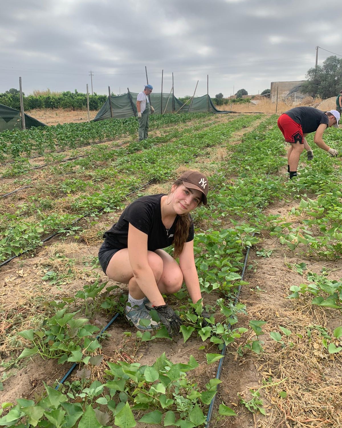 German Students in Algarve